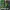 Smartphone Blackview BV4800SE 12GB+64GB