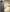Smartphone VIVO V50 5G 12GB+512GB