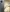Smartphone VIVO V50 5G 12GB+512GB
