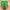 Zuecos verano Minecraft