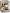 Figura Andy Radical  Funko Pop