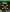 Xbox One DCL Drone Champ League The Game