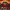 Shogun 2  Total War