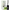 Pack 4 ambientadores mikado 100ml