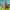 200 Bloques de Construcción Magnéticos Minecraft