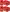 Pack 24 Cerveza Estrella Damm