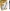 12x BIC Marking 2300 negro