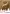 Lindt Calendario de Adviento 312g – 24 Delicias de Chocolate Suizo