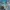 Viewfinder en Epic Games
