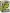 Funko Pop Movies: Shrek Dream Works 30th