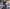 Cozy Grove e Isonzo en Epic Games