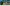Smart TV Haier Q8 55" QLED 4K 120Hz Google TV