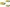 36x Cerveza limon Amstel Radler 0,0 33cl