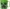 Taza Minecraft Creeper Green 390ml
