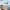 Dron Eachine E511