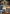 Euro Truck Simulator 1 y 2 Platinum Nordic Edition + Scania TDS + 9 DLCs