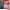 Blackview Tab 9 de 11"  2.4K FHD