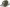 Gorra New Era Batman Character Splat 9Forty Kids Snapback