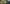 Crusader Kings II: Horse Lords Expansión gratis