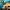 Juega GRATIS a Rocket Arena y Quantum League (Steam)