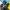 Smartwatch Haylou LS02