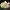 Pack 50 piedras luminosas