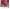 Calendario de Adviento 2021 Maybelline New York