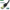Cable ethernet UGreen