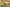 Puzzle 3D Velociraptor 3D Creature Puzzle Educa
