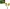 LEGO Botanicals Girasoles