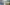 Arabian Gulf Steam