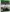 Videojuego PlayerUnknown's Battlegrounds
