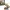 LEGO Jurassic World Fósiles de Dinosaurio
