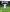 EA SPORTS FC 25 para PS5