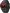 Smartwatch TicWatch Pro 5 Wear OS Enduro Black