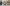 SmartTV Thomson 32" LED FullHD Google Smart TV HDR10