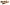 Muestra GRATIS de Pernigotti wafer o Pernigotti crock 