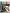 12x Rotuladores de Colores BIC Intensity doble punta