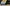 Hisense Mini-LED 55" 4K