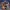 Rustler (Grand Theft Horse) en Epic Games