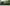 Smart TV Hisense 50" 4K UHD DLED