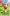 Mario Golf Super Rush Nintendo Switch