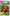 Donkey Kong Country Returns HD para Nintendo Switch