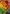 Puzzle 1000 Piezas Vitaminas Coloridas Educa