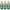 3x750ml Pato WC Fragancia Coastal Forest