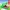 Cocodrilo mordedor para niños