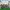 Assassins Creed Unity al 90%