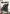 Call of Duty: Advanced Warfare para PC (Steam)
