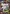 GTA V para PC (Social Club)
