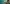 Transistor para PC (Steam)